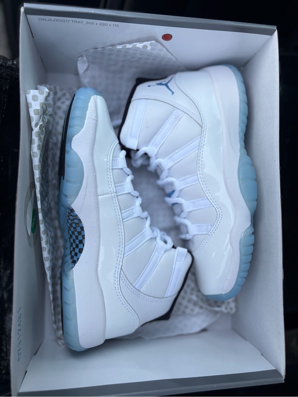 Legend Blue Jordan 11 GS